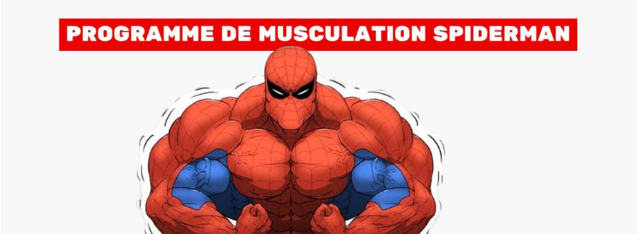 Programme De Musculation Spider Man