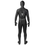 Costume Spider man noir
