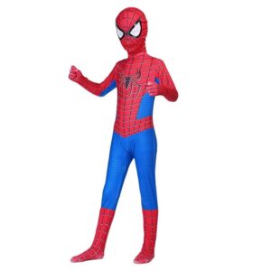 Costume The Amazing Spider-man enfant