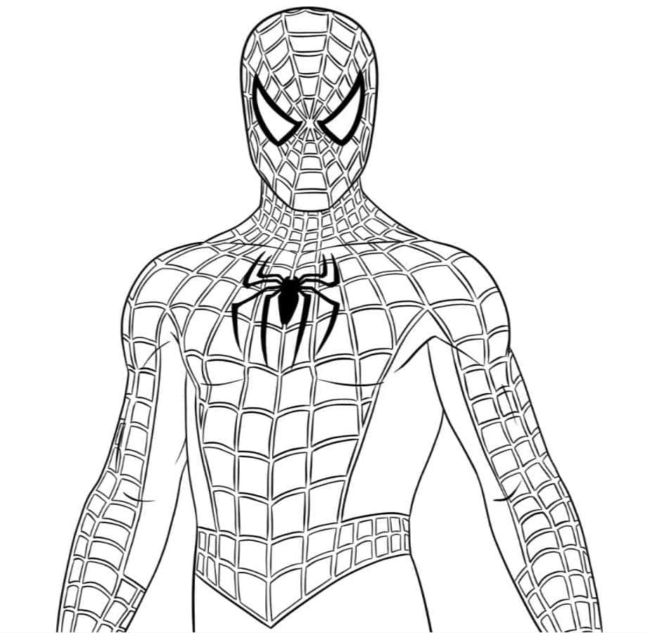 coloriage à imprimer spiderman