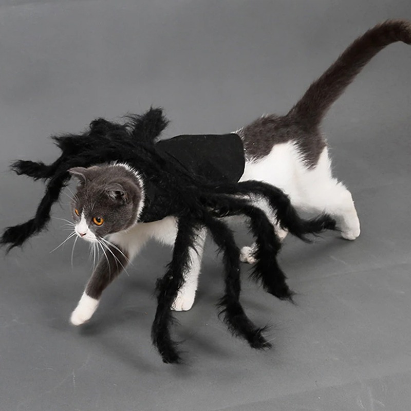 Déguisement araignée pour chien et chat 3