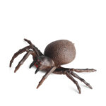 Fausse araignée brune 16 cm 4