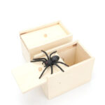 Farce et attrape boîte à araignée  5