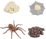 Cycle de vie d’une fausse araignée 4