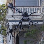 Toile d’araignée géante noire jusqu’à 5 mètres  5