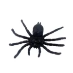 lot de 3 araignée Halloween noire de 8 cm  4
