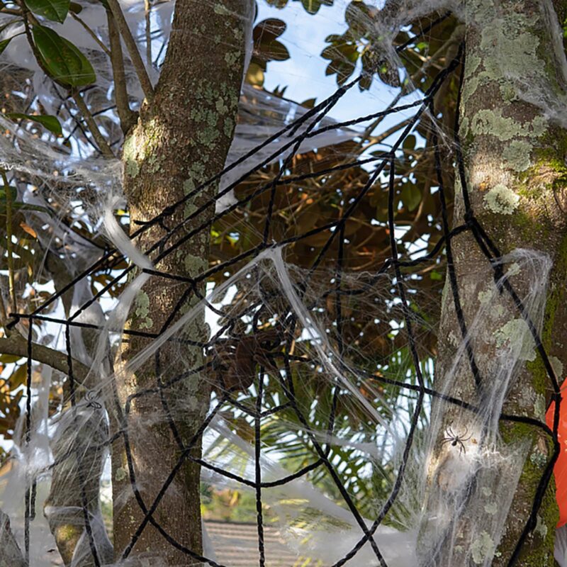 Toile d’araignée géante noire jusqu’à 5 mètres  6