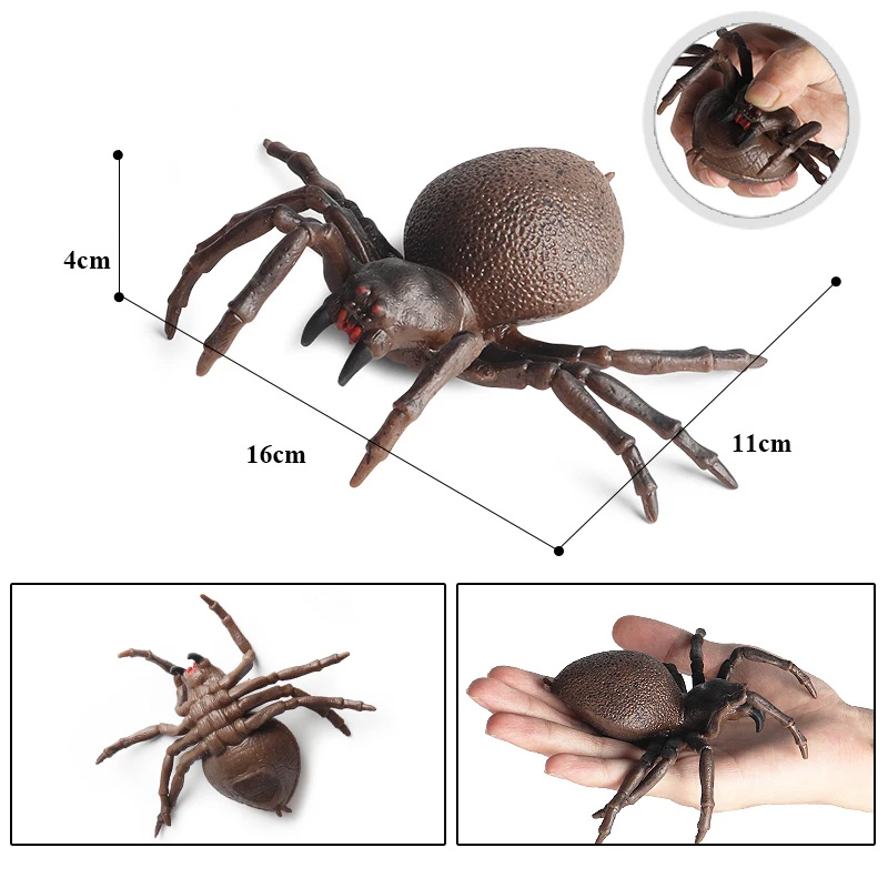 Fausse araignée brune 16 cm 3