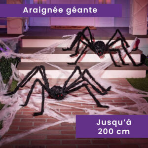 Araignée géante 30 à 200cm