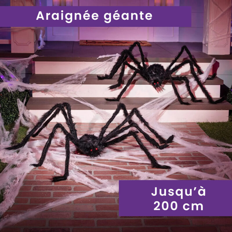 Araignée géante 30 à 200cm 2
