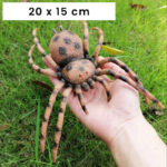 Araignée 20 cm 4