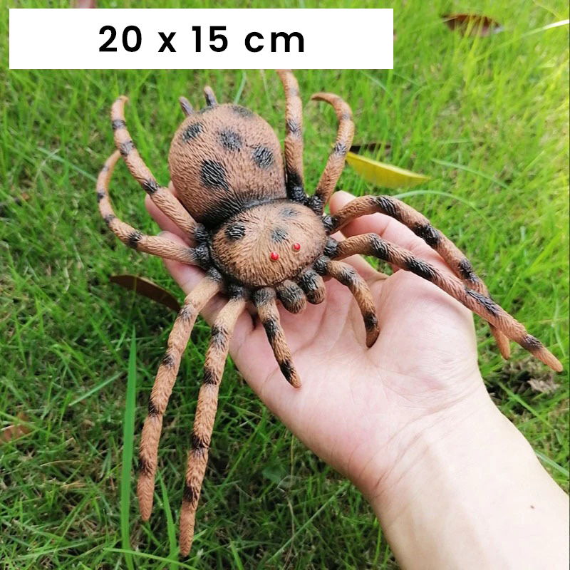 Araignée 20 cm 3