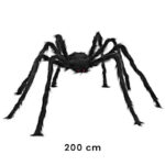Araignée géante 30 à 200cm 11