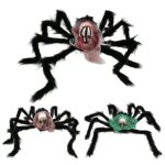 Araignée faucheuse géante 50 cm 4